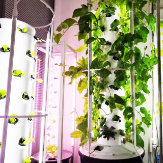 Lyine Greenhouse Вертикальная фермерская башня Аэропонная башня Садовая вертикальная гидропонная система Гидропонная башня