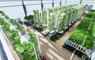 Lyine Greenhouse Вертикальная фермерская башня Аэропонная башня Садовая вертикальная гидропонная система Гидропонная башня