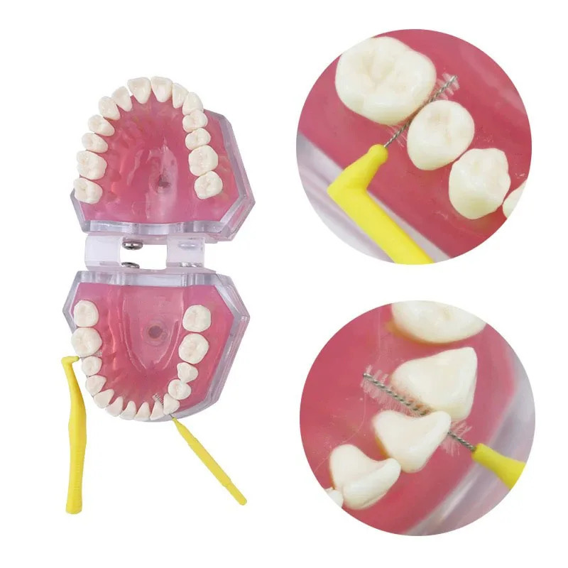 Портативный Набор Для Ухода За Зубами DENTWORLD - Ортодонтическая Зубная Щетка, Скребок Для Языка, Межзубная Щетка